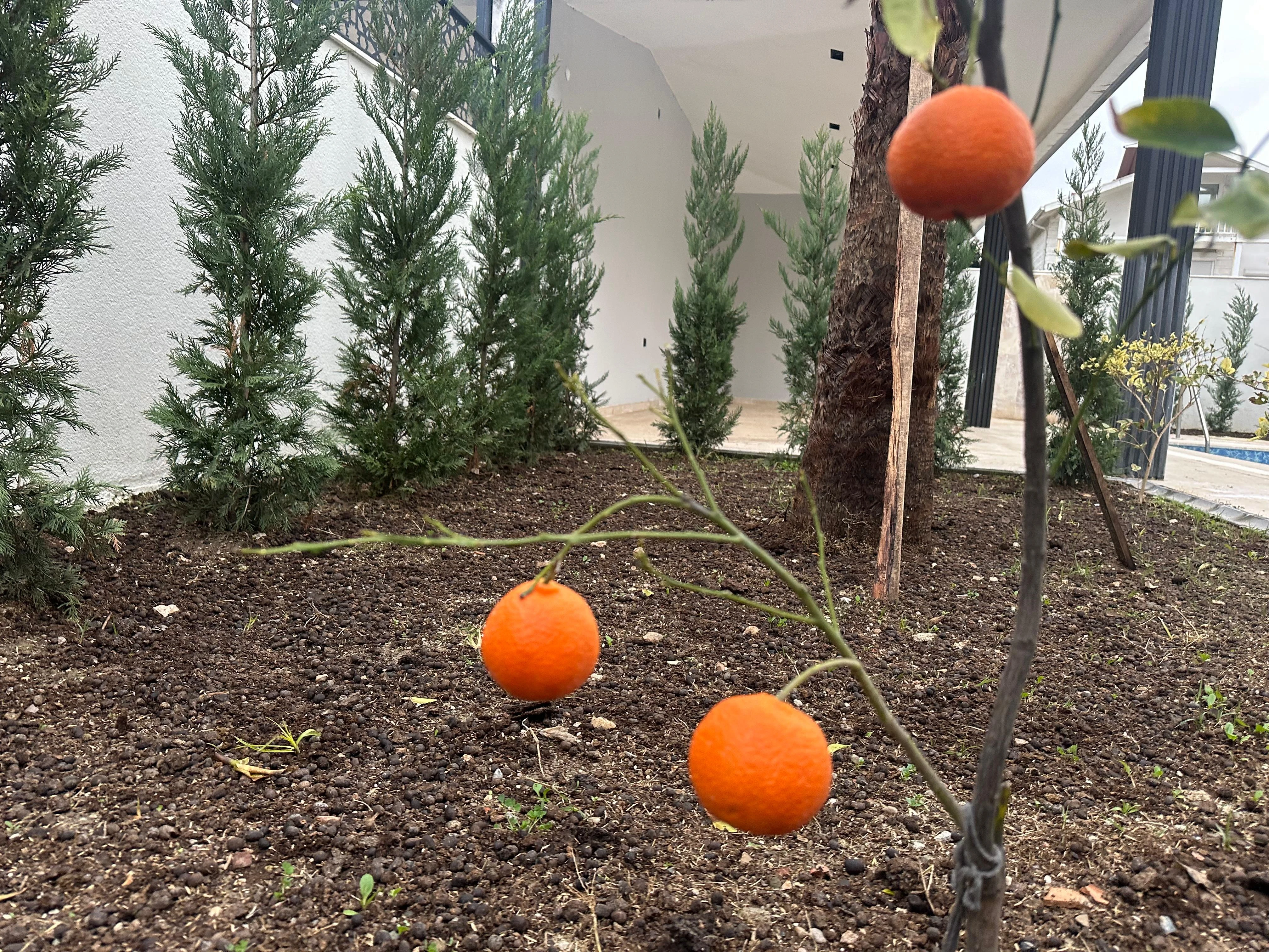 Kemer de Müstakil Havuzlu, 521m2² Arsalı, 295m2² Villa